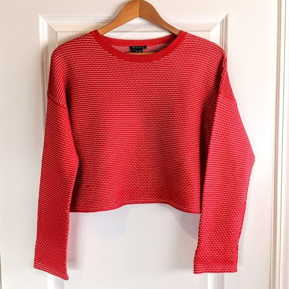 Theory Red Tamrist CS Prosecco Cropped Sweater NWOT - Picture 2 of 6
